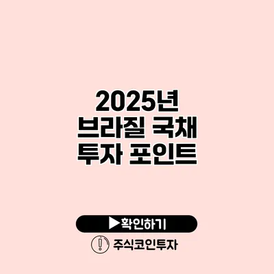 2025년 브라질 국채 투자 포인트