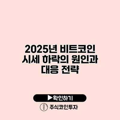 2025년 비트코인 시세 하락의 원인과 대응 전략