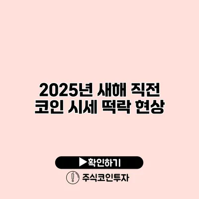 2025년 새해 직전 코인 시세 떡락 현상