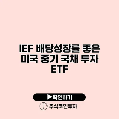 IEF 배당성장률 좋은 미국 중기 국채 투자 ETF