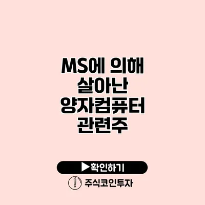 MS에 의해 살아난 양자컴퓨터 관련주