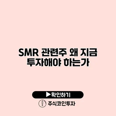 SMR 관련주 왜 지금 투자해야 하는가?