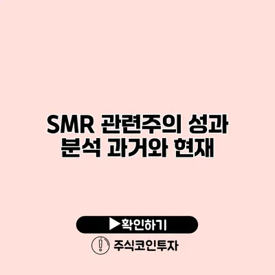 SMR 관련주의 성과 분석 과거와 현재