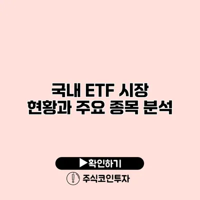 국내 ETF 시장 현황과 주요 종목 분석