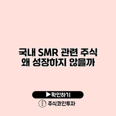 국내 SMR 관련 주식 왜 성장하지 않을까?