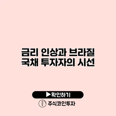 금리 인상과 브라질 국채 투자자의 시선