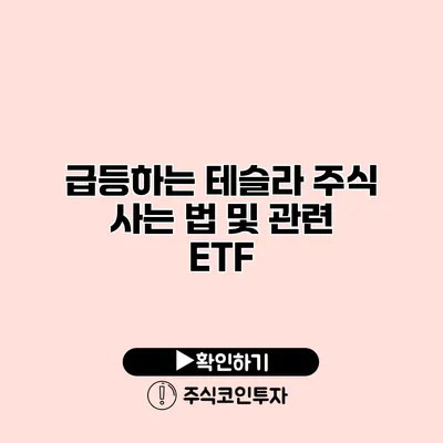 급등하는 테슬라 주식 사는 법 및 관련 ETF