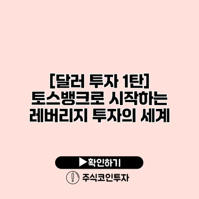 [달러 투자 1탄] 토스뱅크로 시작하는 레버리지 투자의 세계