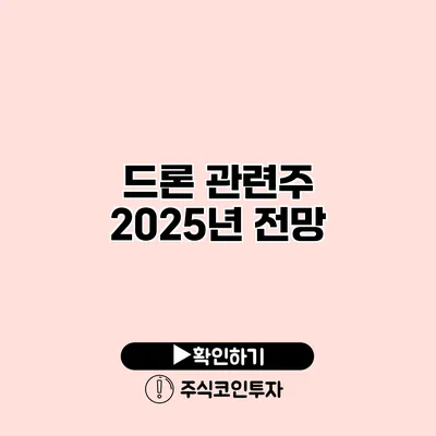 드론 관련주 2025년 전망