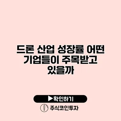 드론 산업 성장률 어떤 기업들이 주목받고 있을까?