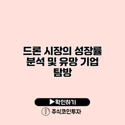 드론 시장의 성장률 분석 및 유망 기업 탐방