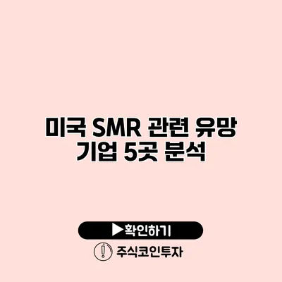 미국 SMR 관련 유망 기업 5곳 분석