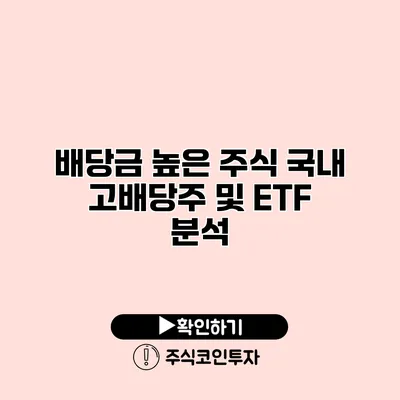 배당금 높은 주식 국내 고배당주 및 ETF 분석