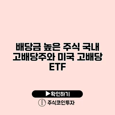 배당금 높은 주식 국내 고배당주와 미국 고배당 ETF