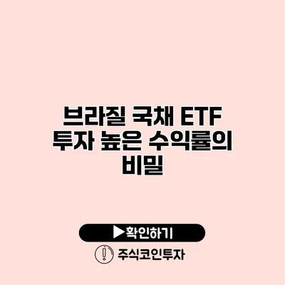 브라질 국채 ETF 투자 높은 수익률의 비밀