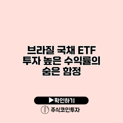 브라질 국채 ETF 투자 높은 수익률의 숨은 함정