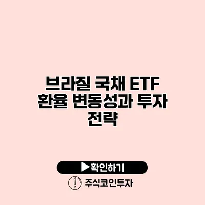 브라질 국채 ETF 환율 변동성과 투자 전략