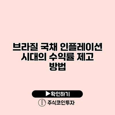 브라질 국채 인플레이션 시대의 수익률 제고 방법