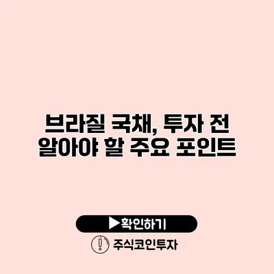 브라질 국채, 투자 전 알아야 할 주요 포인트