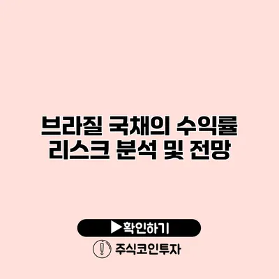 브라질 국채의 수익률 리스크 분석 및 전망