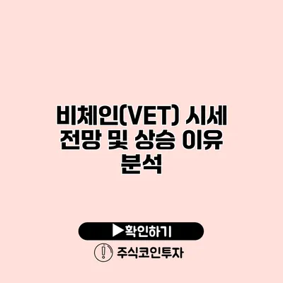 비체인(VET) 시세 전망 및 상승 이유 분석