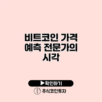 비트코인 가격 예측 전문가의 시각