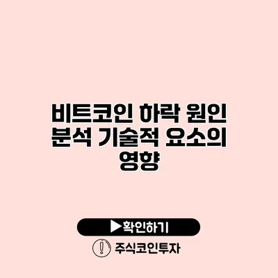 비트코인 하락 원인 분석 기술적 요소의 영향