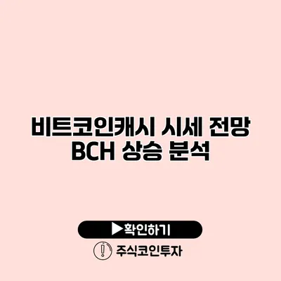 비트코인캐시 시세 전망 BCH 상승 분석