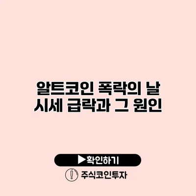 알트코인 폭락의 날 시세 급락과 그 원인