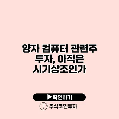 양자 컴퓨터 관련주 투자, 아직은 시기상조인가?