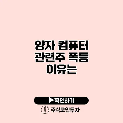 양자 컴퓨터 관련주 폭등 이유는?