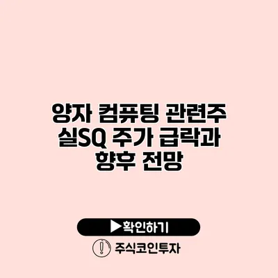 양자 컴퓨팅 관련주 실SQ 주가 급락과 향후 전망