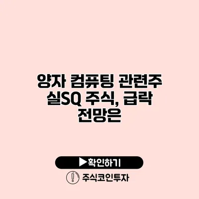 양자 컴퓨팅 관련주 실SQ 주식, 급락 전망은?