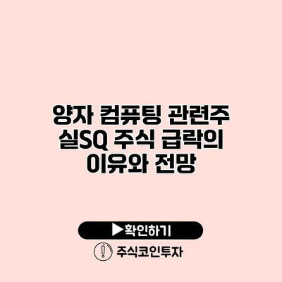 양자 컴퓨팅 관련주 실SQ 주식 급락의 이유와 전망