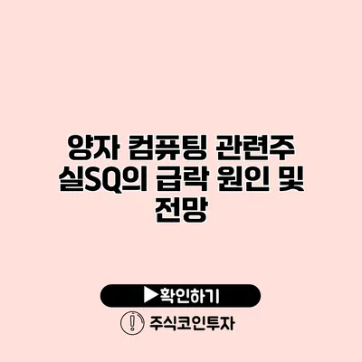 양자 컴퓨팅 관련주 실SQ의 급락 원인 및 전망