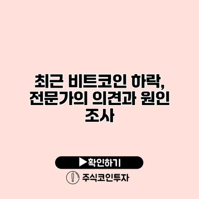 최근 비트코인 하락, 전문가의 의견과 원인 조사