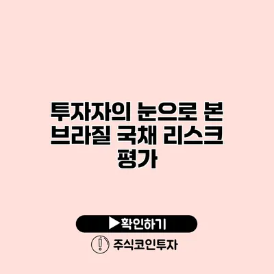 투자자의 눈으로 본 브라질 국채 리스크 평가